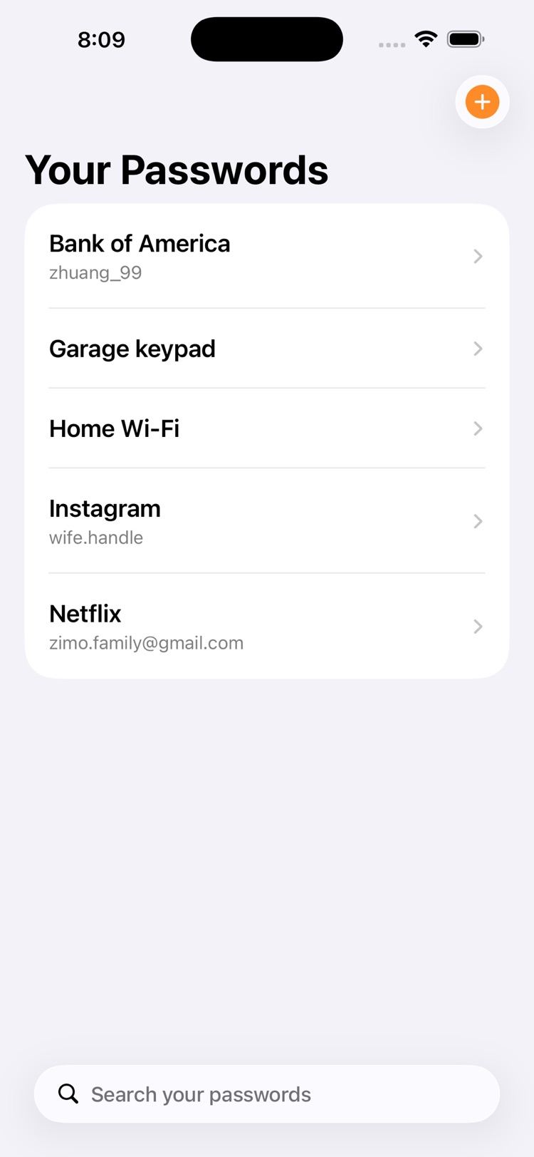 The password list, showing saved entries with their usernames.